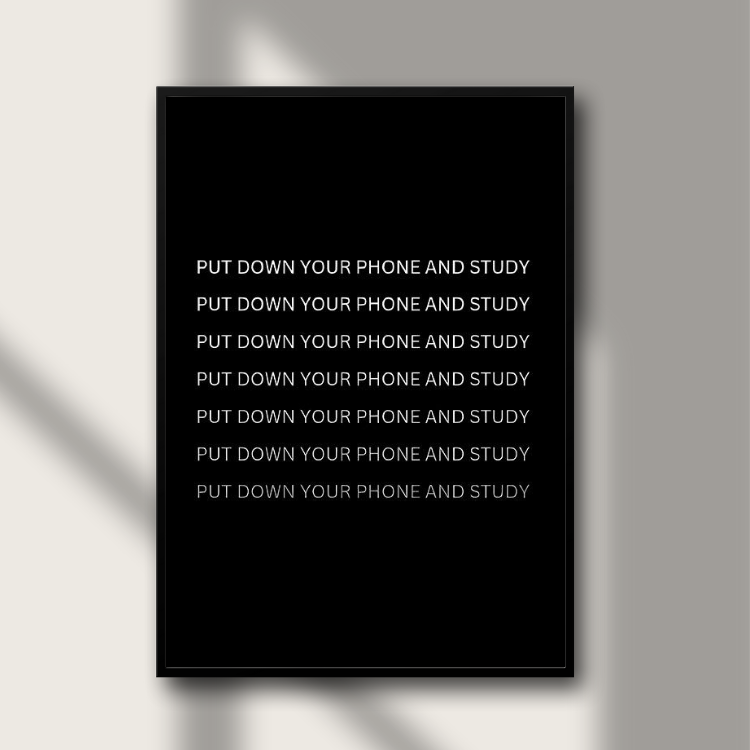 Poster - Put Down Your Phone And Study